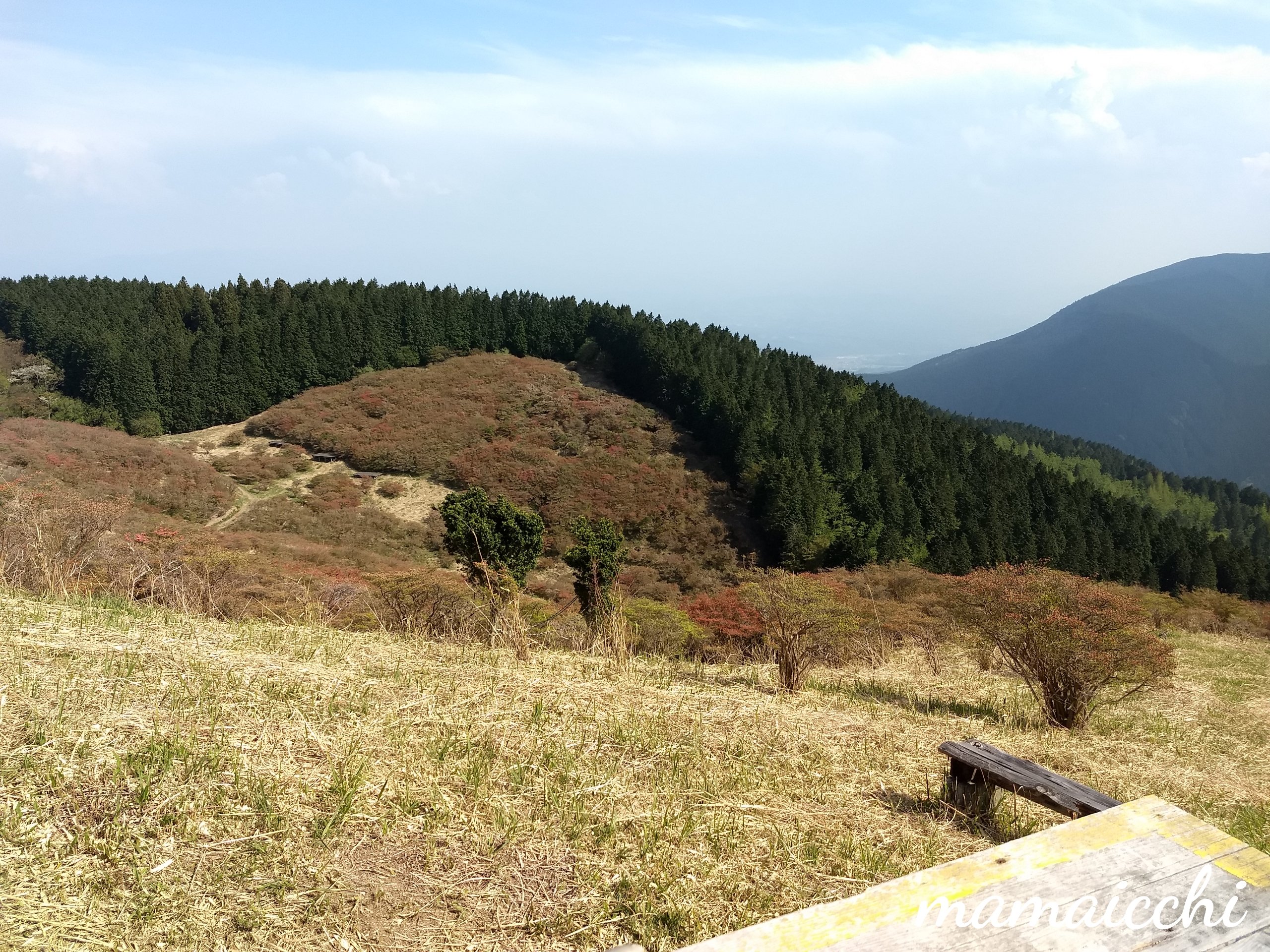 21年葛城山つつじ 駐車場の穴場はココ 見頃は５月中旬 Mamaicchi