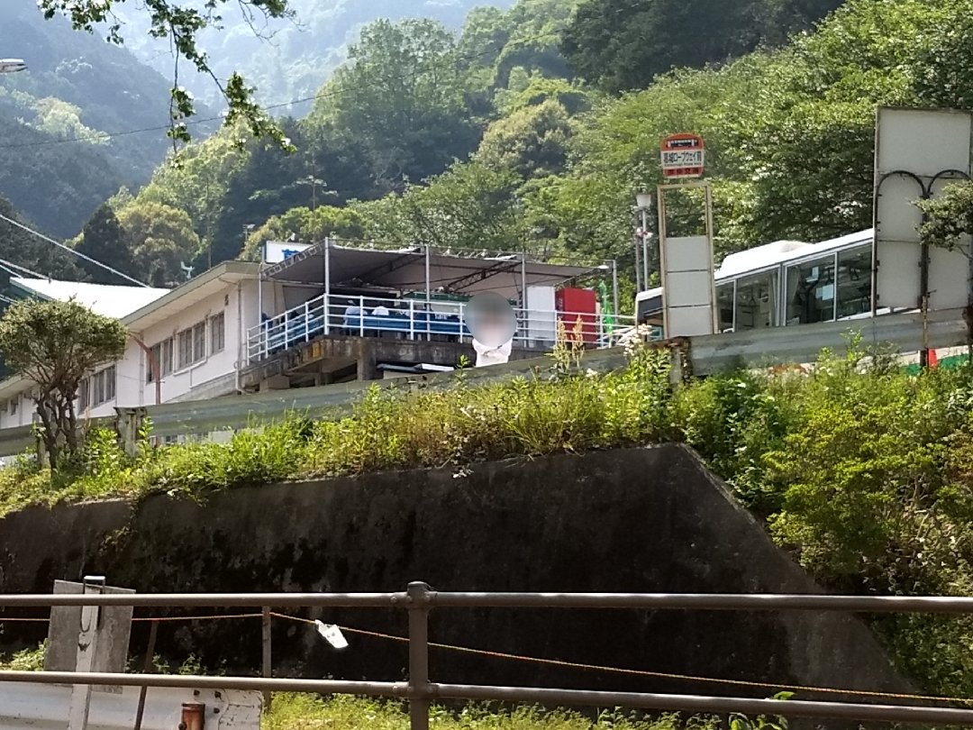 【2022年葛城山つつじ】駐車場満車でイライラが嫌な方必見!地元民オススメ2つの解決法
