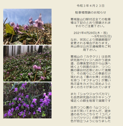 21年葛城山つつじ 駐車場の穴場はココ 見頃は５月中旬 Mamaicchi